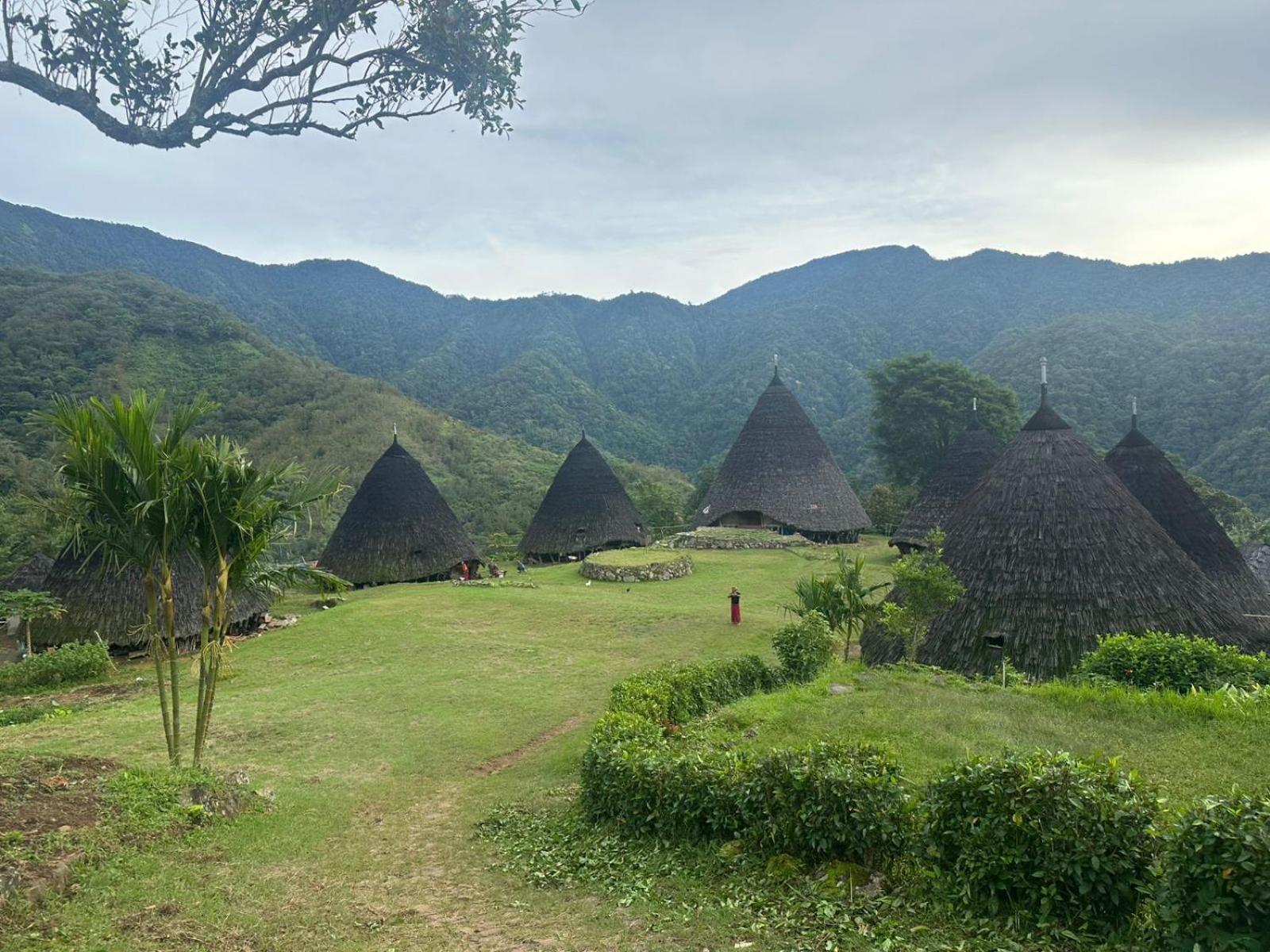 D'Flora Homestay Labuan Bajo Exteriér fotografie