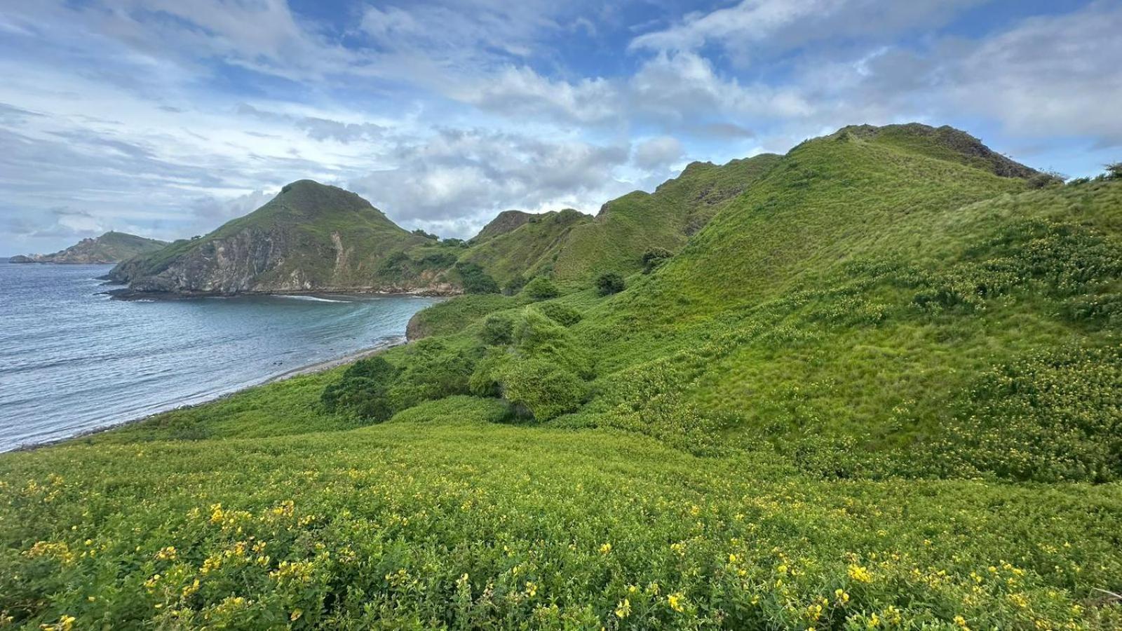 D'Flora Homestay Labuan Bajo Exteriér fotografie