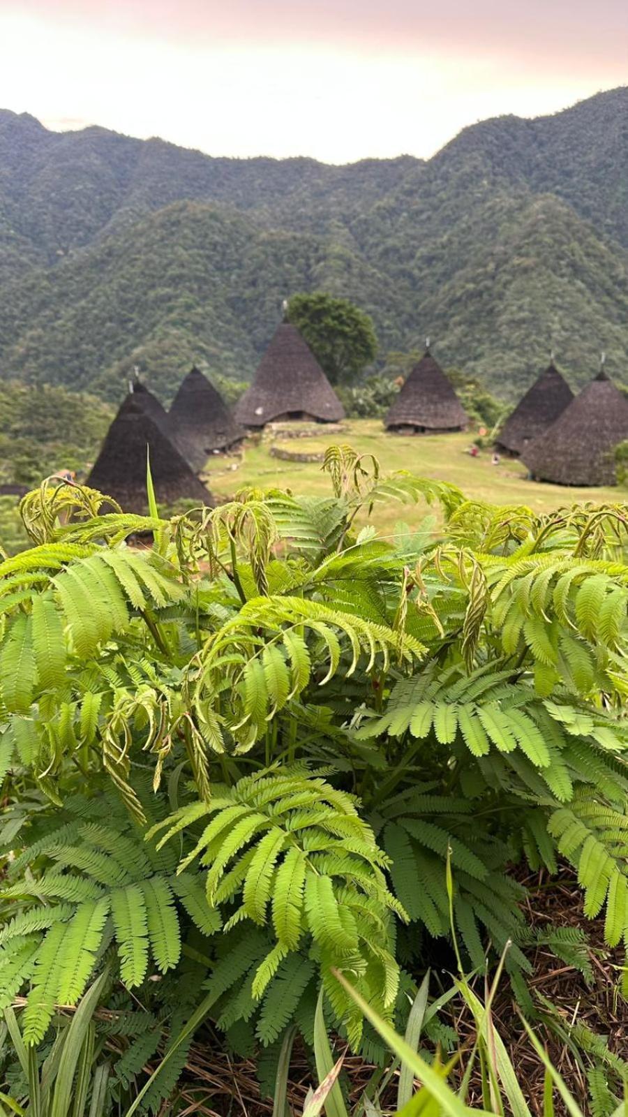 D'Flora Homestay Labuan Bajo Exteriér fotografie